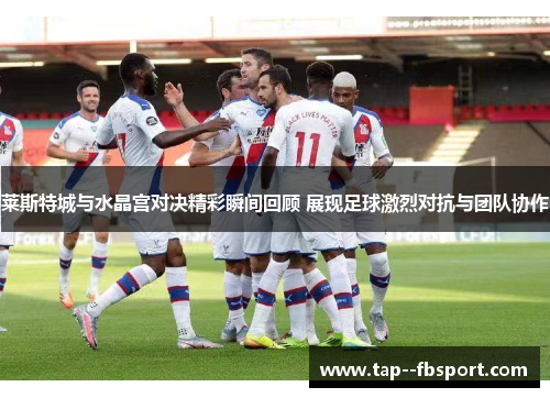 莱斯特城与水晶宫对决精彩瞬间回顾 展现足球激烈对抗与团队协作